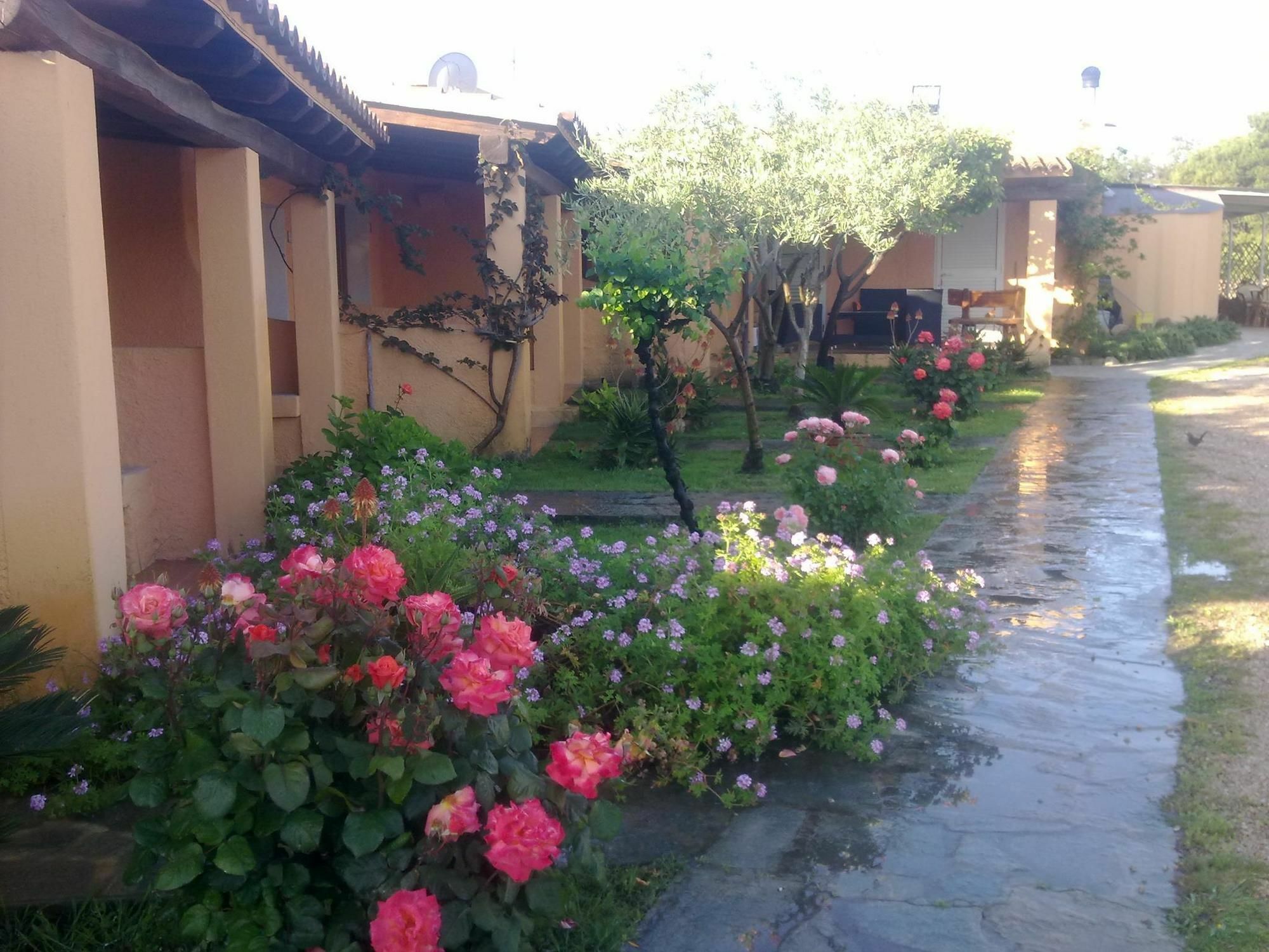 Residence La Pineta Budoni Dış mekan fotoğraf